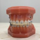 논현사랑치과의원 이미지