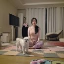 (온라인)요가 | 집에서 줌으로 듣는 요가 BYTT 온라인 요가 내돈내산 한달 후기