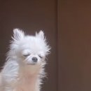 레스티 | 칭다오 여행 첫날 코스가 칭다오 시립 방문^^ / 메후드 레스티 호텔 후기