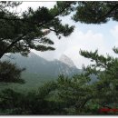 청수장 Daum카페