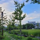 세천늪근린공원 이미지