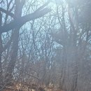 창원대산
