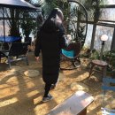 롯지85 이미지