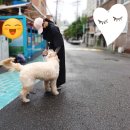 씻고올개 이미지