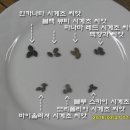 블루스카이 이미지