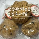 건강애 | 보리빵 다이어트 고창 발효 보리머핀 건강애반해농장