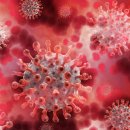 변이(미디어) 이미지