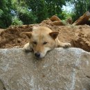 순덕농장 이미지