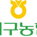 백구쇼핑