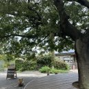 대수길 | 임신 24주 태교여행 스냅 후기｜제주 평대사진관 방문기 (ft.웰컴투 삼달리 촬영지)