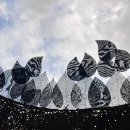 요가 오후 네이버블로그
