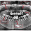 서울닥터스치과의원 이미지