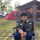 아리랑캠핑 이미지