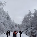 화절령 화장실 이미지