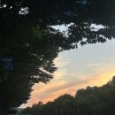 21세기광고 - 경산시 경안로67길 13 | [안산맛집추천] 스트레스 싹 날리는 매콤함! 고잔동 먹물오징어볶음 찐 맛집 솔직후기