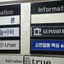 시연피아 이미지