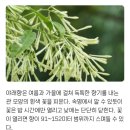 야기사와 유키히로 후기