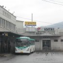 청평동물병원 이미지