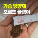 뜨게이야기 | [오르뜨 글램이] 내돈내산 후기 | 웨딩촬영 결과물 받고 충격받아서 구매했어요
