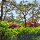 매포초등학교 이미지