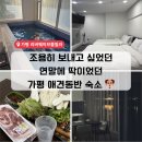 강지풀 | 가평 리버웨이브풀빌라 숙박 후기｜실내수영장·애견동반 가능한 프라이빗 숙소