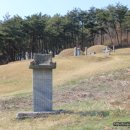 이색선생 묘일원 이미지