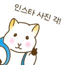 똥꾸멍멍 이미지