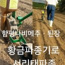 메주정보통신 이미지