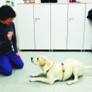 행복한개 이미지