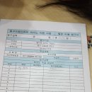 엘리제음악학원 네이버블로그