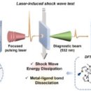 [2025 DAILY PICK 제108호] &#39;부산대·KIST, 금속-리간드 결합 기반 충격파 대응 고분자 원리 규명&#39; 등 이미지