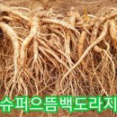 으뜸농장 2 이미지