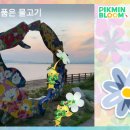 석양을 품은 물고기 이미지