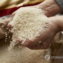 여주시농협조합공동사업법인 이미지