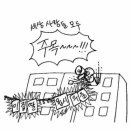 분당맥스웰의원 이미지