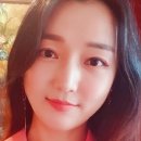 애니림