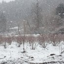 산이래농원 이미지