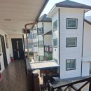 푸조와곰솔 | 🐶🌿 거제 푸조와곰솔 애견동반 펜션 숙박 후기 🌿🐶