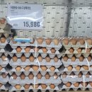 서울바른e치과의원 | : 기록하고 싶은 소소한 일상(9~11월)