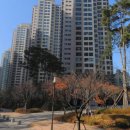 연세씨엘치과의원 이미지