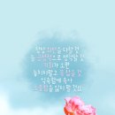 사림