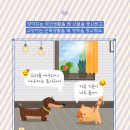 중앙동물병원 이미지