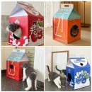[고양이용품 추천] 우유곽 스크래쳐 숨숨집 후기 🐱 뚱냥이도 쏙! 반려동물용품 고민 끝!