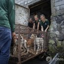 금지개공인중개사사무소 이미지
