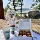 제주개과점 이미지