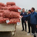 대정농업협동조합 농산물산지유통센터 이미지