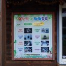 원주 아이와 주말에 가볼만한곳｜곤충박물관 솔직후기 🐞