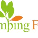 용인힐링캠핑장 이미지