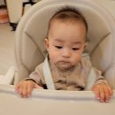 제주도 아기이유식 업체 이용후기(골드스푼, 마미포유)