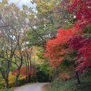 상무안경 이미지